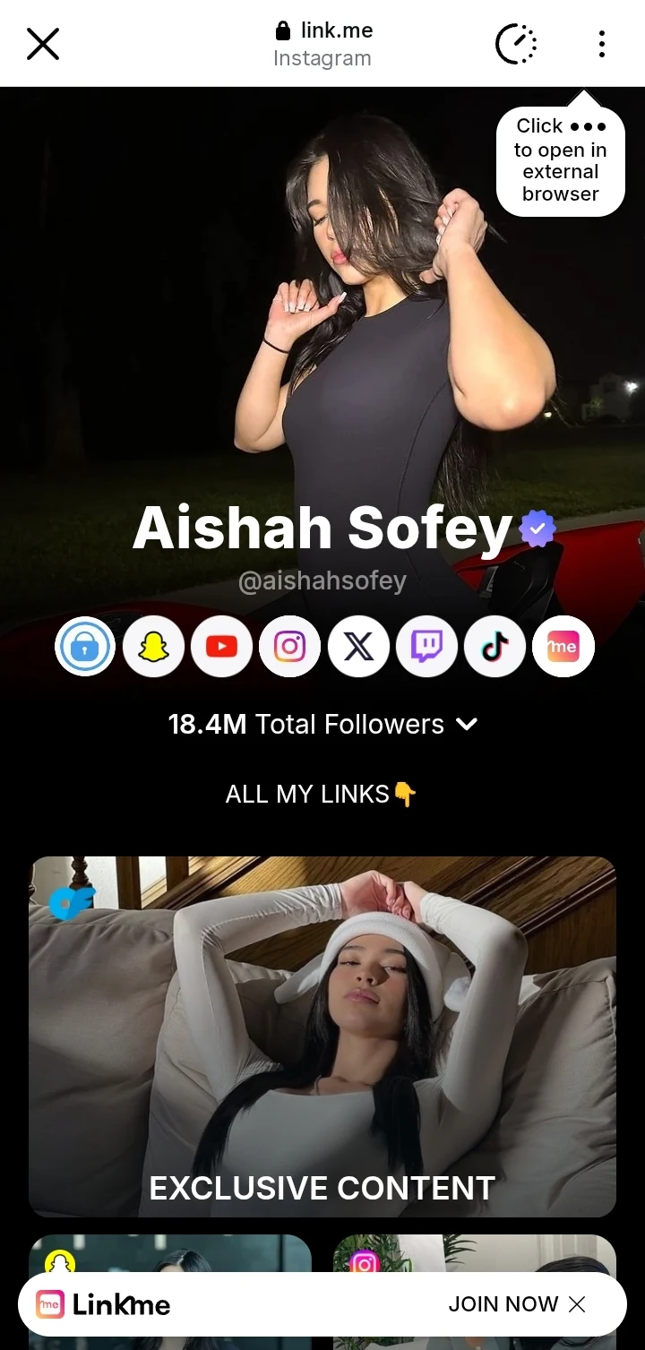 Aishah Sofey public link.me hub screenshot used as the link hub step in the checked route pattern.